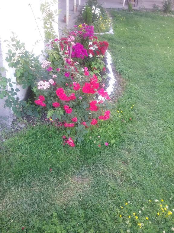 Guest House Anisa Birkiani Bagian luar foto