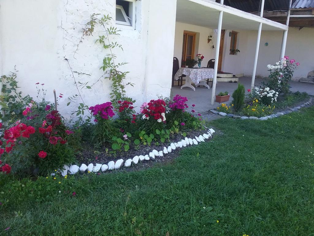 Guest House Anisa Birkiani Bagian luar foto