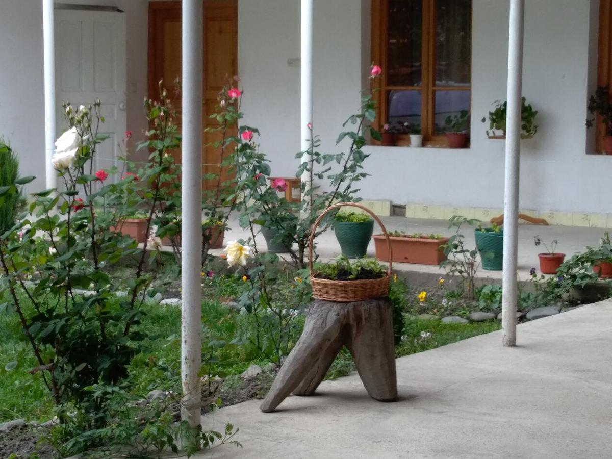 Guest House Anisa Birkiani Bagian luar foto